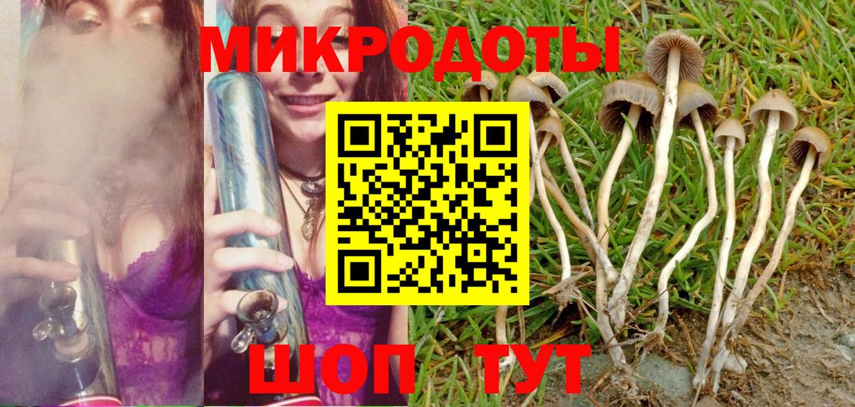 Галлюциногенные грибы Psilocybe  Вход с VPN  Вязники 