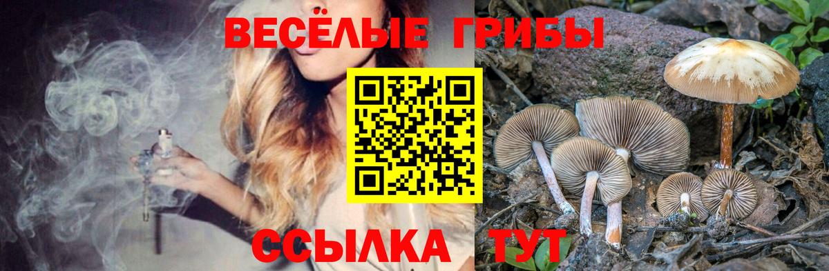 Псилоцибиновые грибы GOLDEN TEACHER Вязники